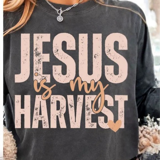 Jesus is my Harvest