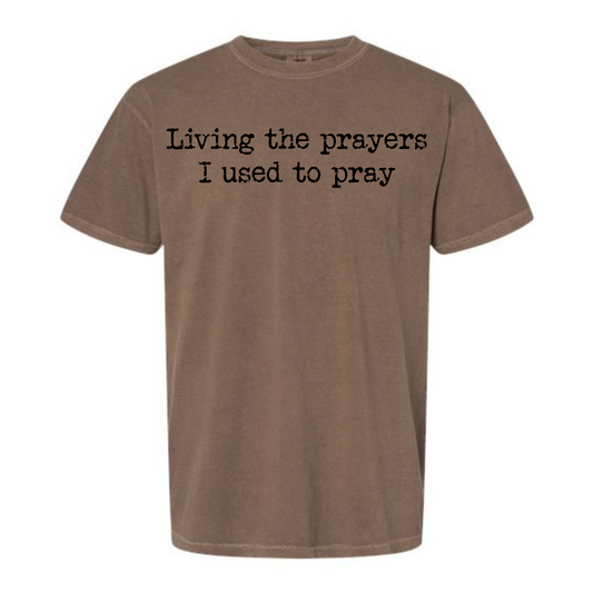 Living the Prayers